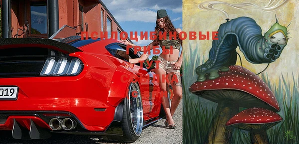 дмт Абаза