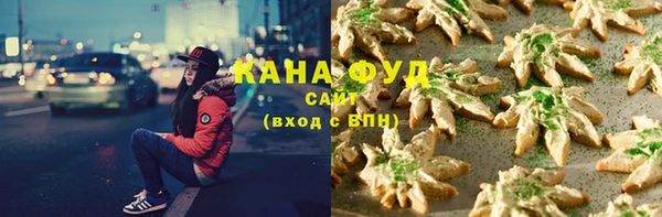 дмт Абаза