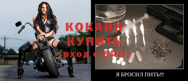 дмт Абаза
